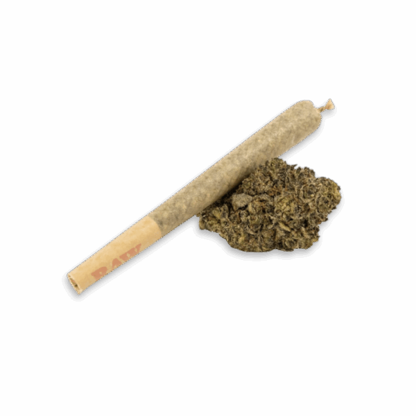 Pink Rozay Indica THCA Pre-roll