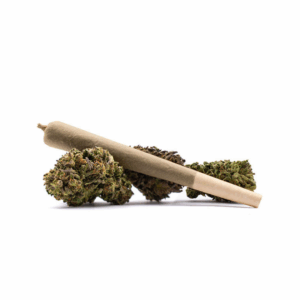 Acapulco Gold THCA Pre-Roll Sativa