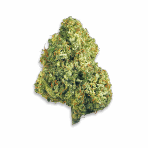Hawilian Haze Sativa CBD Flower 20%