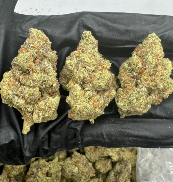 Purple Haze THCA Flower Sativa
