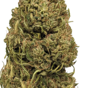 Super Haze   Sativa CBD Flower 21%