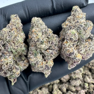 Purple Panty Dropper THCA Flower Indica
