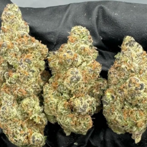 Pineapple Express THCA Flower Sativa