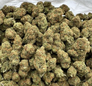 Amnesia Haze THCA Flower Sativa 30%