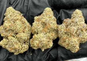 Strawberry Cough sativa THCA Flower