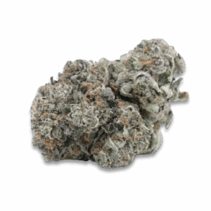 Pink Champagne THCA Flower Indica