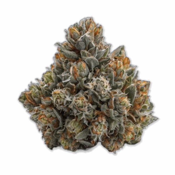 Pineapple Express THCA Flower Sativa