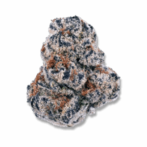 Purple Haze THCA Flower  Sativa