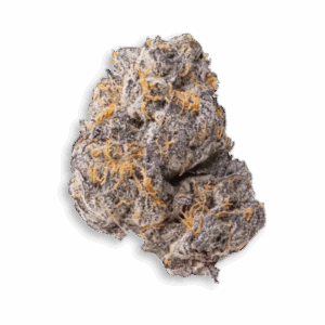 Gary Payton  THCA Flower Hybrid