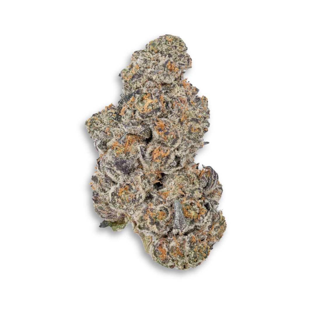 Exotics Flower THCA King Sherb Indica
