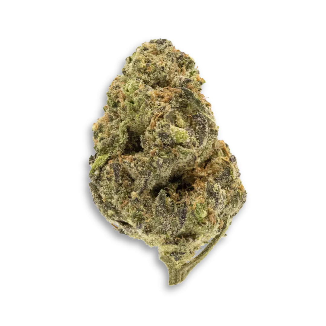 Government oasis THCA Flower Indica