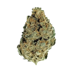 Purple Panty Dropper THCA Flower Indica premium hemp flower product available at JJ’s Hemp Dispensary.